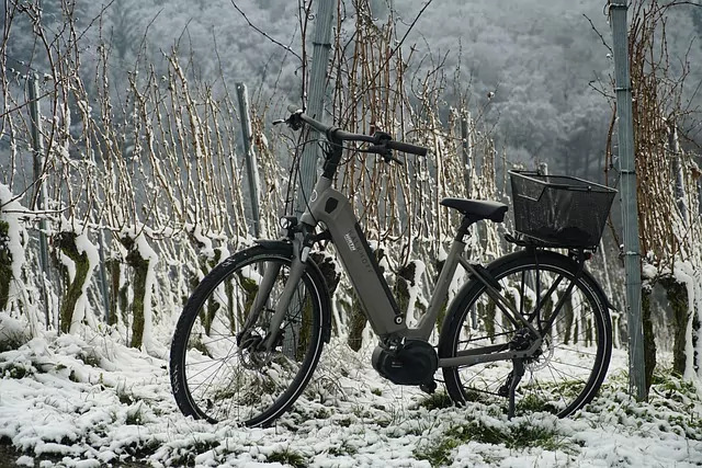 Tips onderhoud fietsaccu in de winter